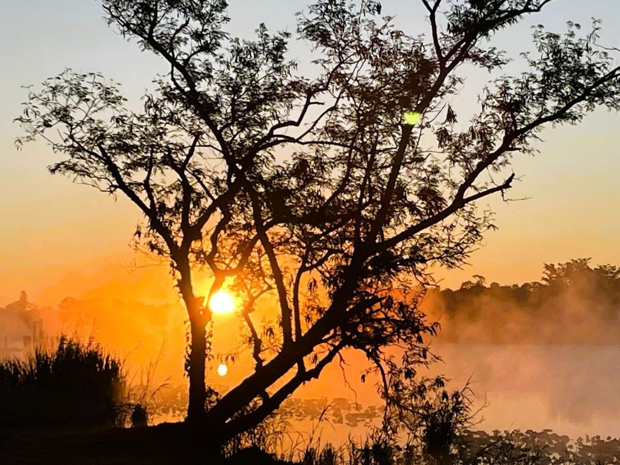 17190 Serengeti Circle, Alva, FL 33920 Photo