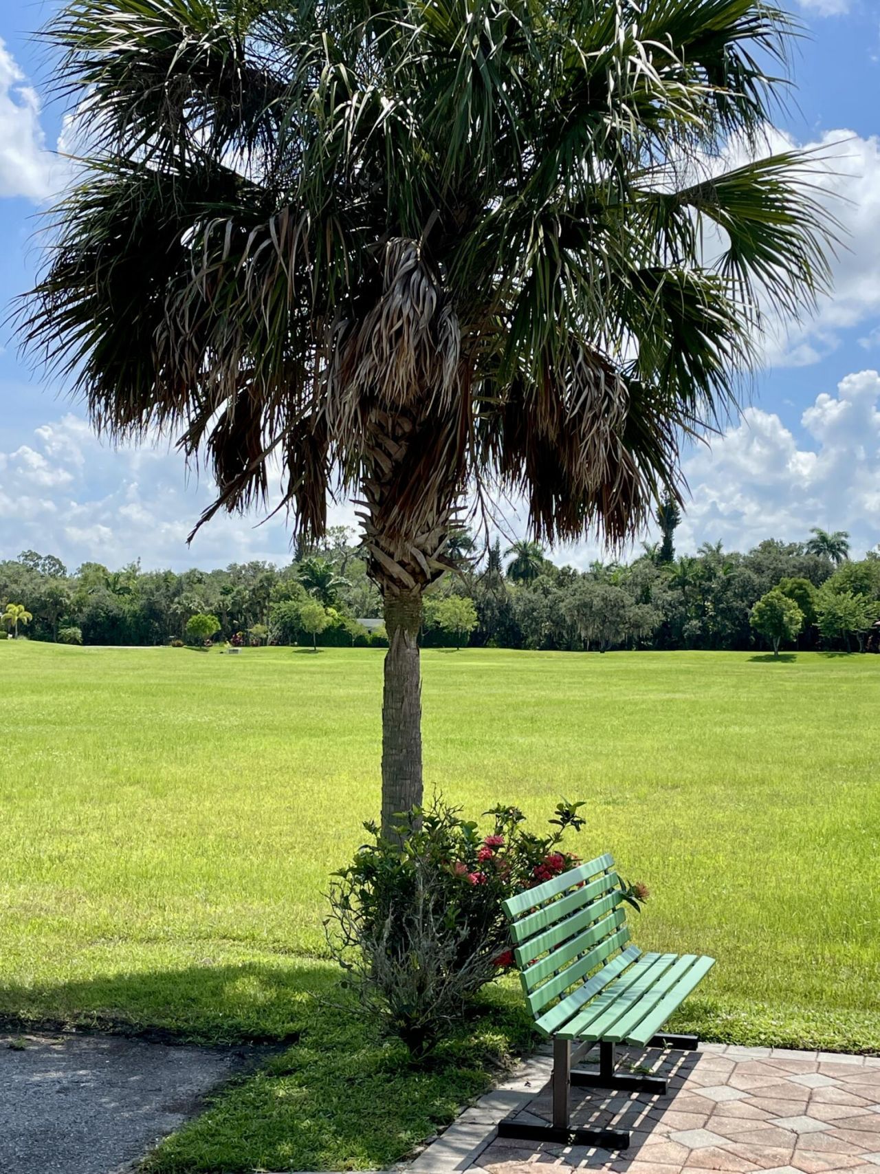 17190 Serengeti Circle, Alva, FL 33920 Photo