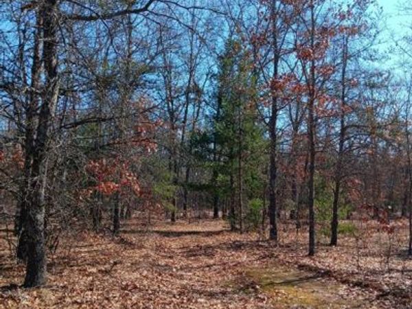0000 Cedar Creek Road, Norman Twp, MI 49689