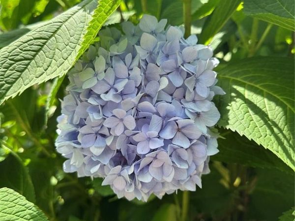 407 Ahr Strom Drive, Owensville, MO 65066