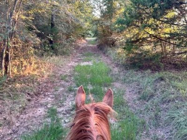 0000 County Road 3226, Lone Oak, TX 75453