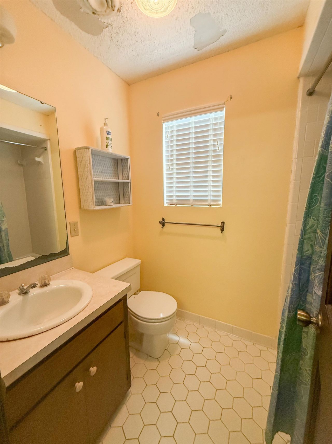 1219 Alligator Drive, Alligator Point, FL 32346 Photo