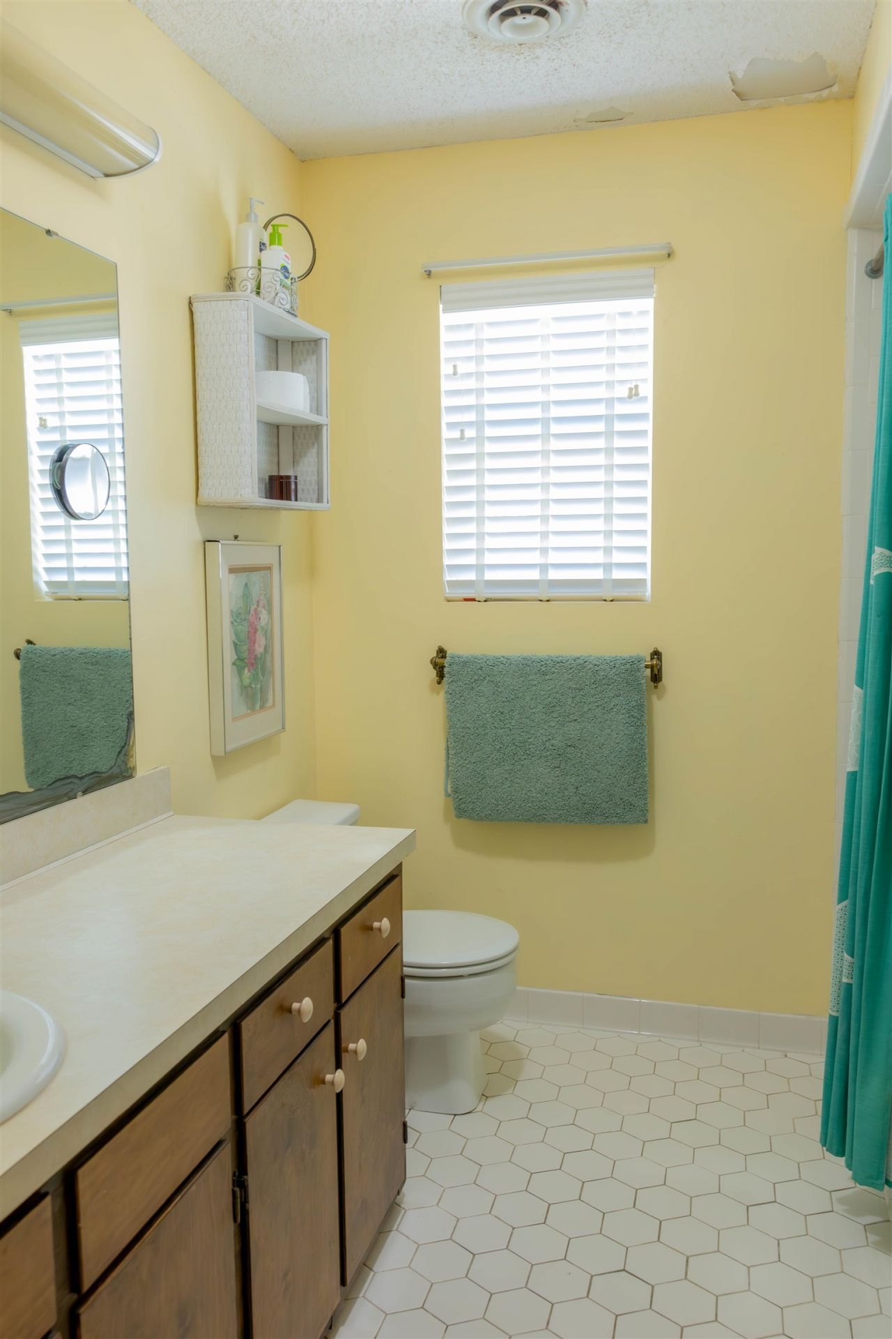 1219 Alligator Drive, Alligator Point, FL 32346 Photo