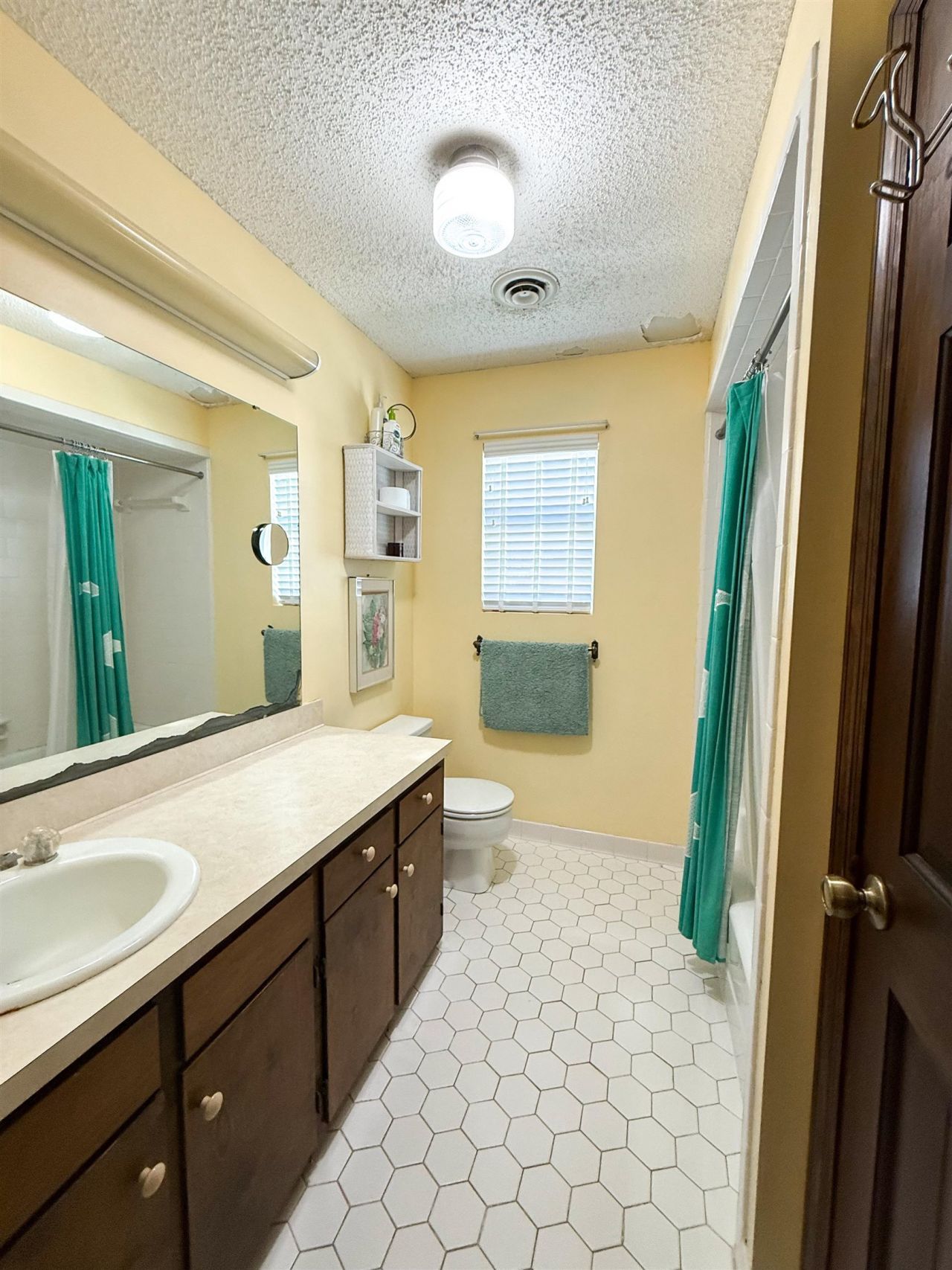 1219 Alligator Drive, Alligator Point, FL 32346 Photo