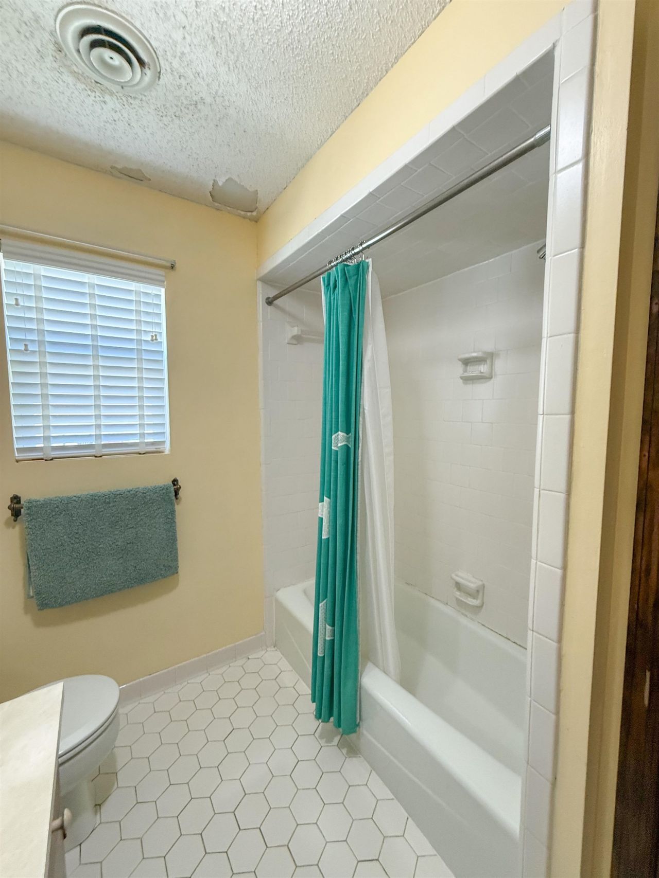 1219 Alligator Drive, Alligator Point, FL 32346 Photo