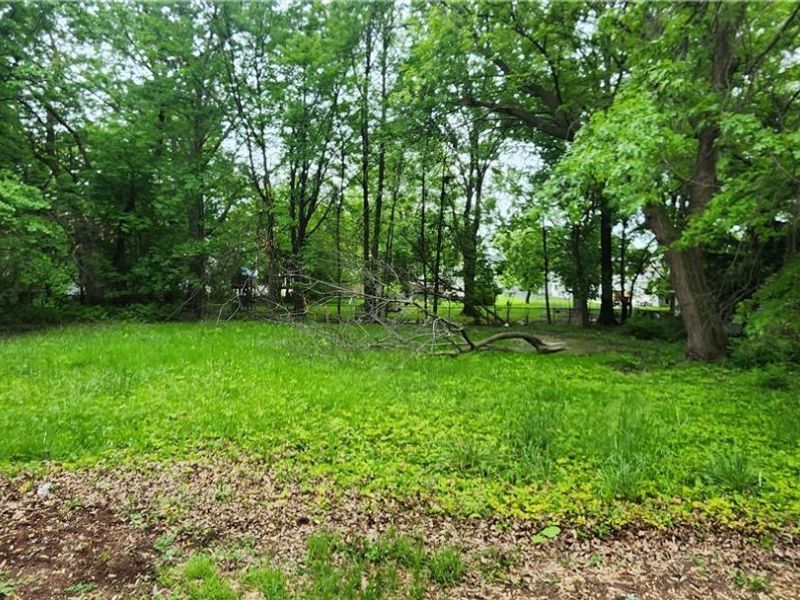 20430 Miller Avenue, Euclid, OH 44119 Photo 3