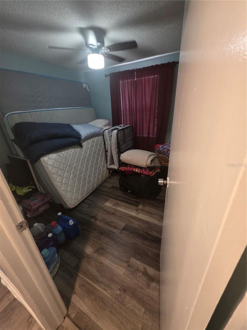 3612 Tamarix Drive, Tampa, FL 33619 Photo