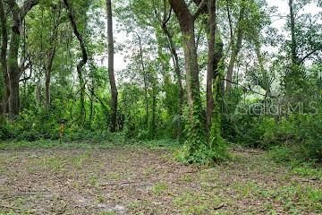 8641 High Street, Yalaha, FL 34797 Photo
