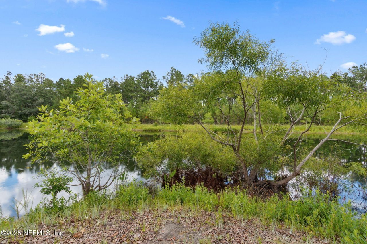 37334 Alice Street, Hilliard, FL 32046 Photo