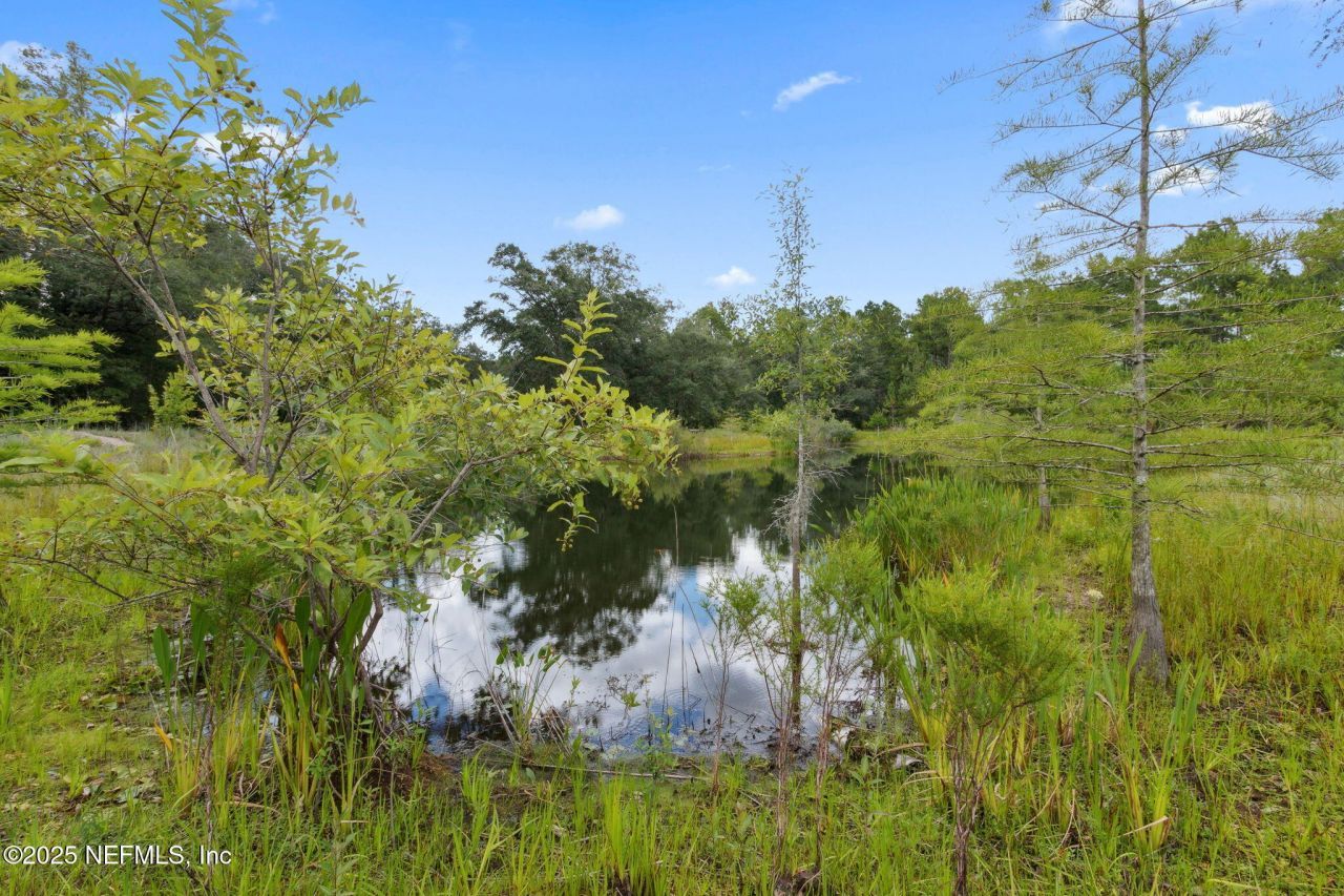 37334 Alice Street, Hilliard, FL 32046 Photo