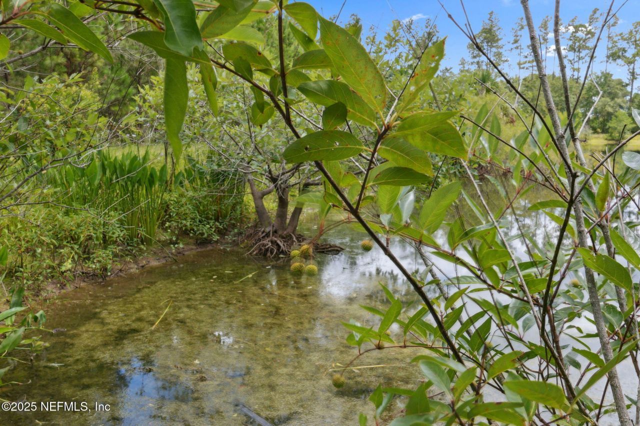 37334 Alice Street, Hilliard, FL 32046 Photo