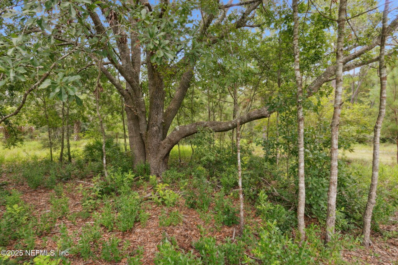 37334 Alice Street, Hilliard, FL 32046 Photo