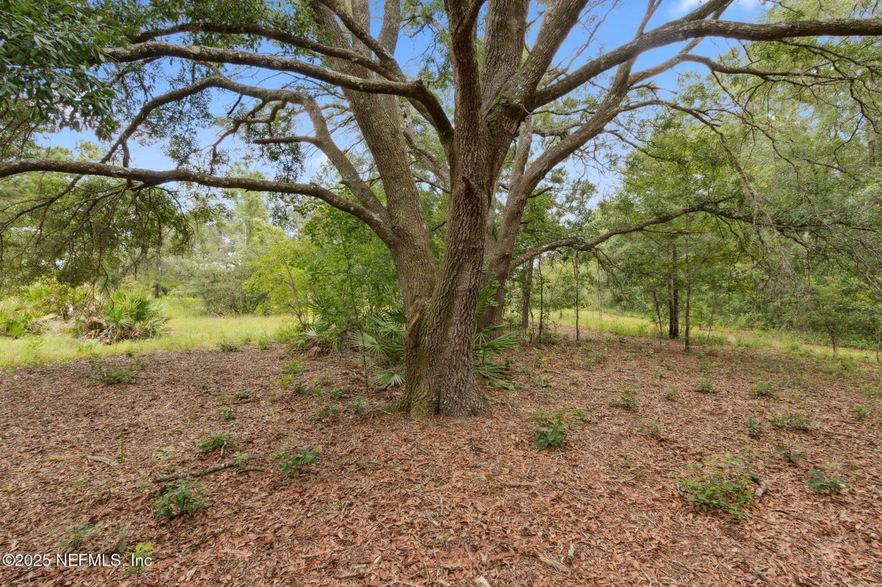 37334 Alice Street, Hilliard, FL 32046 Photo