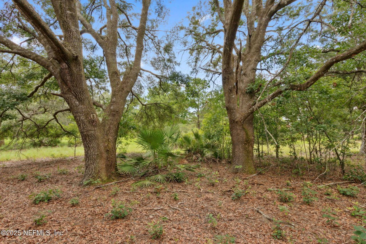 37334 Alice Street, Hilliard, FL 32046 Photo