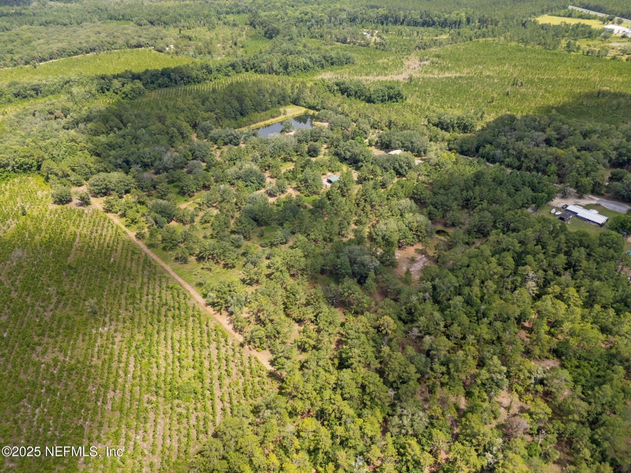 37334 Alice Street, Hilliard, FL 32046 Photo