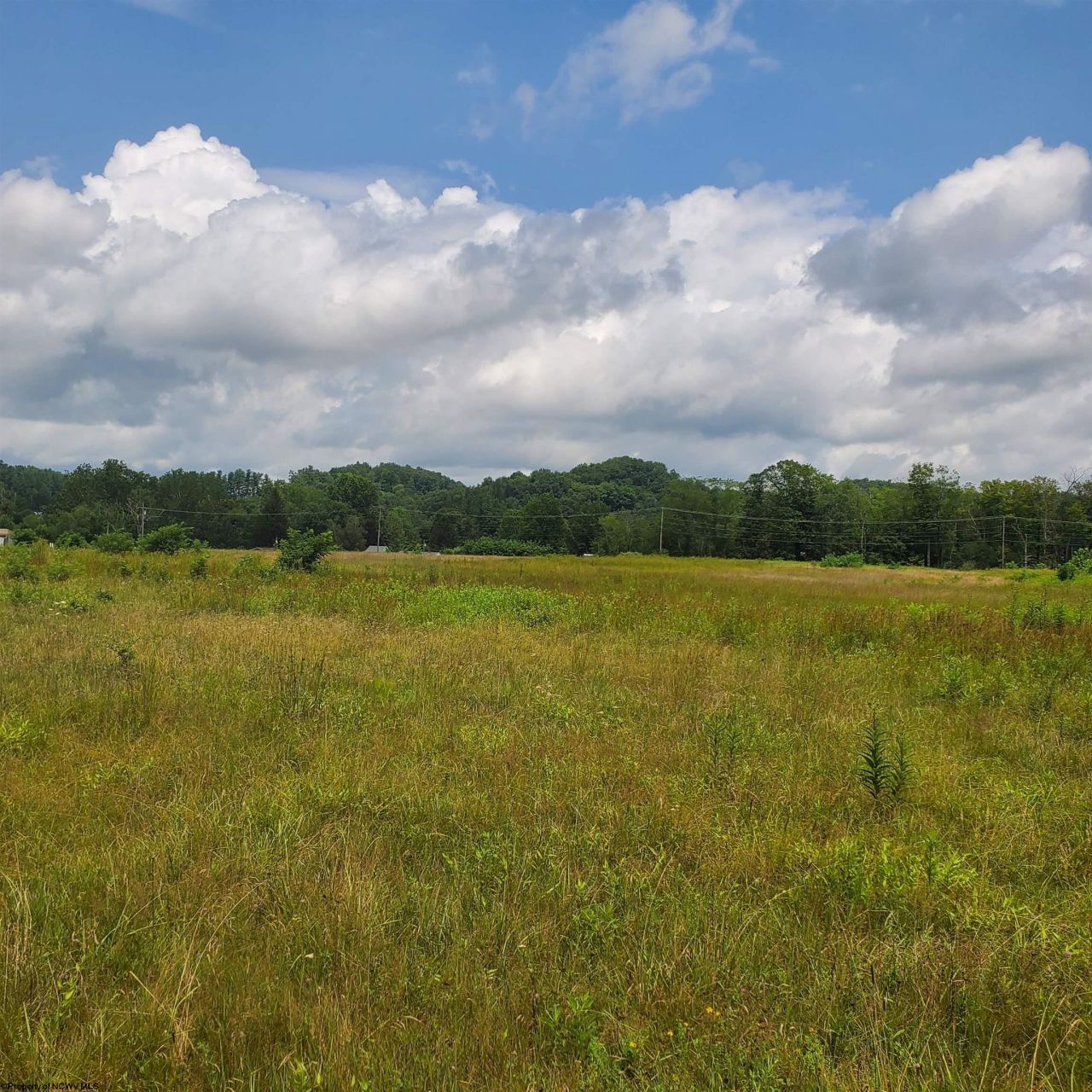 000 Plantation Drive, Elkins, WV 26241
