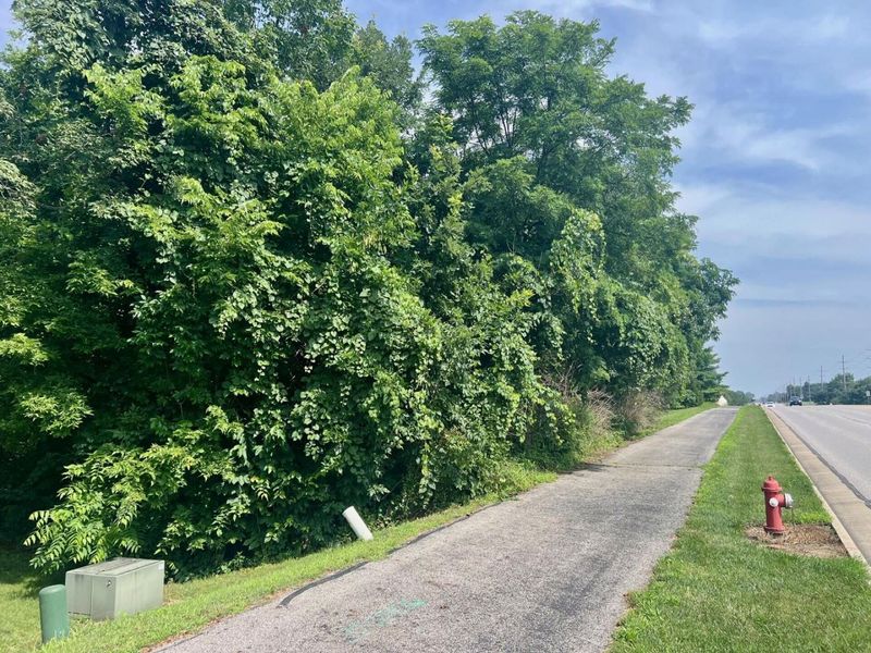 0 Diley Road NW, Canal Winchester, OH 43110 Photo 2