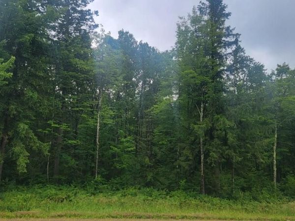 N4651 Pennington Road, Prentice, WI 54556