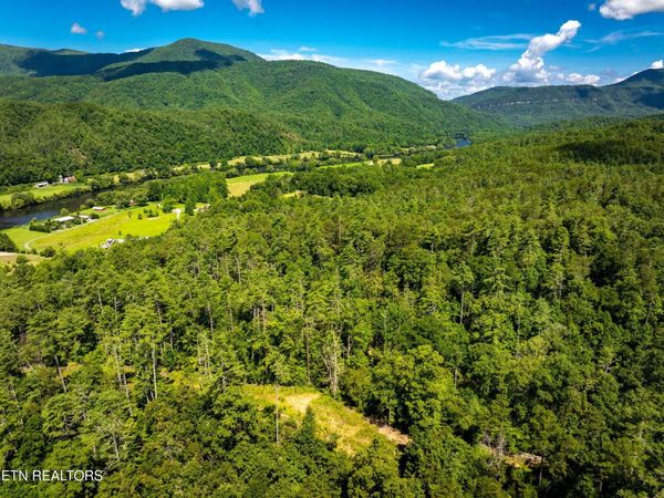 37+/- Hambright Dr Rd, Reliance, TN 37369