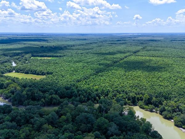 0 Priddy Rd, Rolling Fork, MS 39159