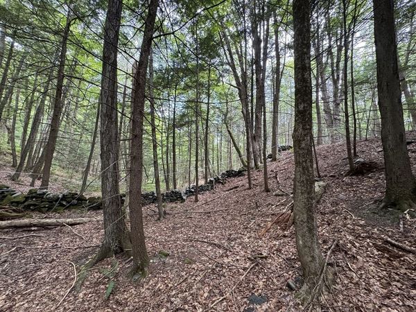 0 North Street, Whately, MA 01093