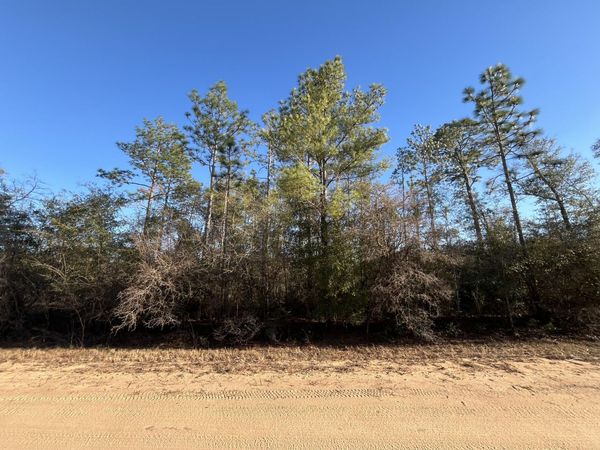 Tbd Goreville, Alford, FL 32420