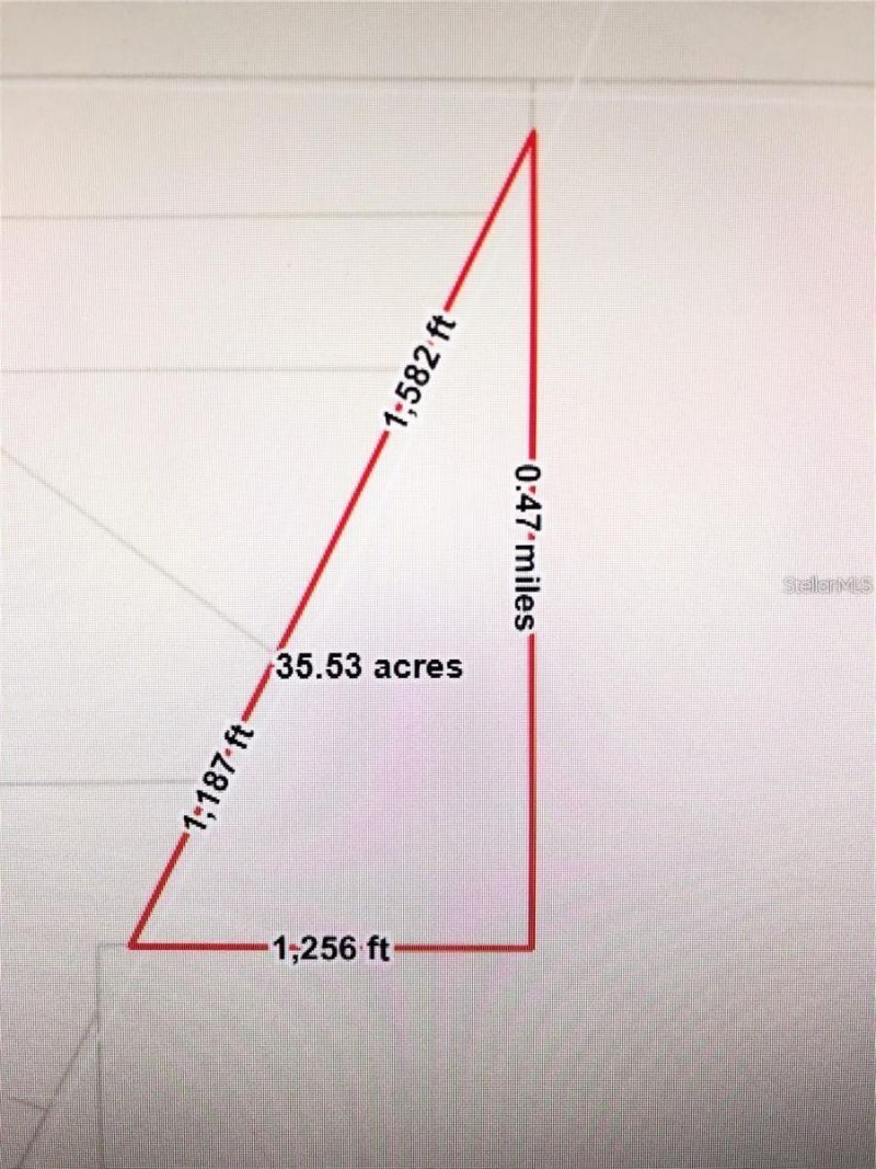 35 Acres Madison Main Line, Perry, FL 32347 Photo