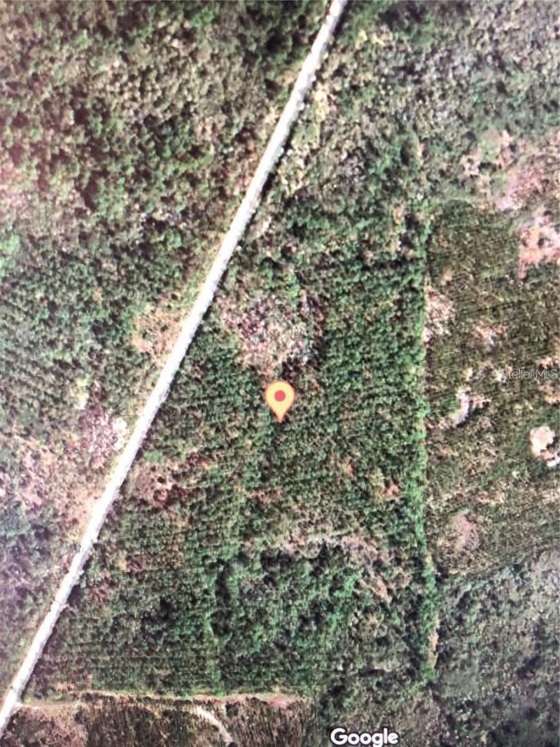 35 Acres Madison Main Line, Perry, FL 32347 Photo