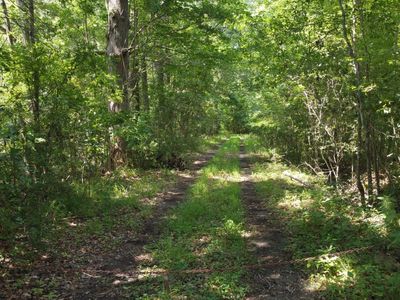 0 Rudd Road, Ridgeville, SC 29472