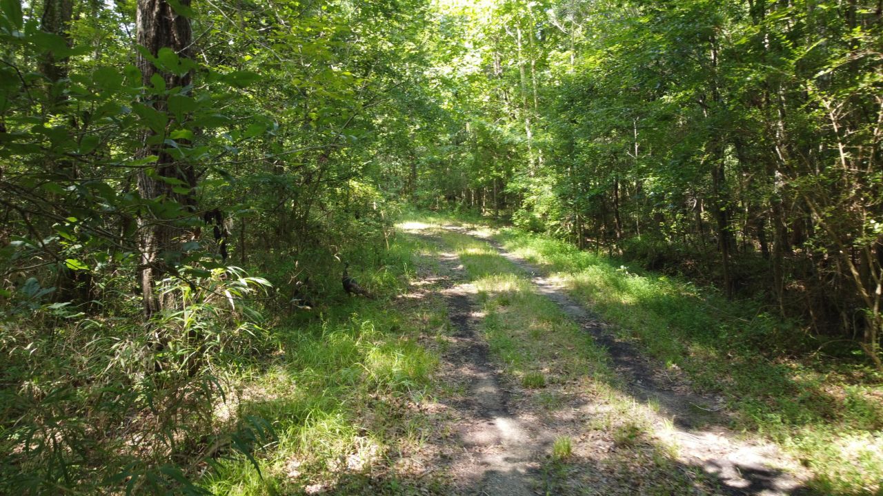 0 Rudd Road Photo 12