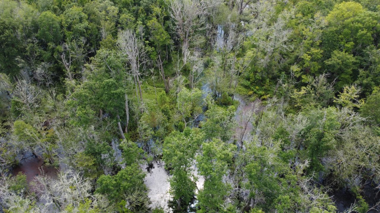 0 Rudd Road Photo 13