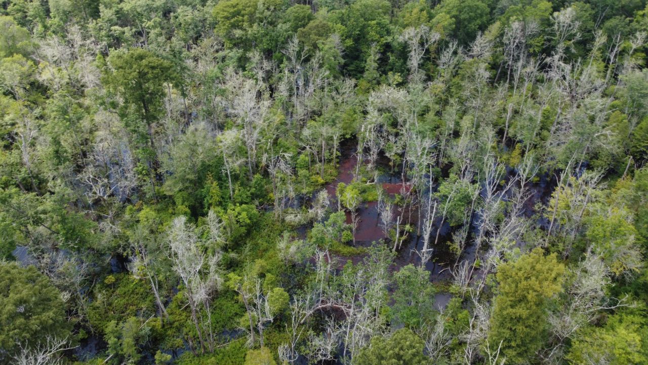 0 Rudd Road Photo 15