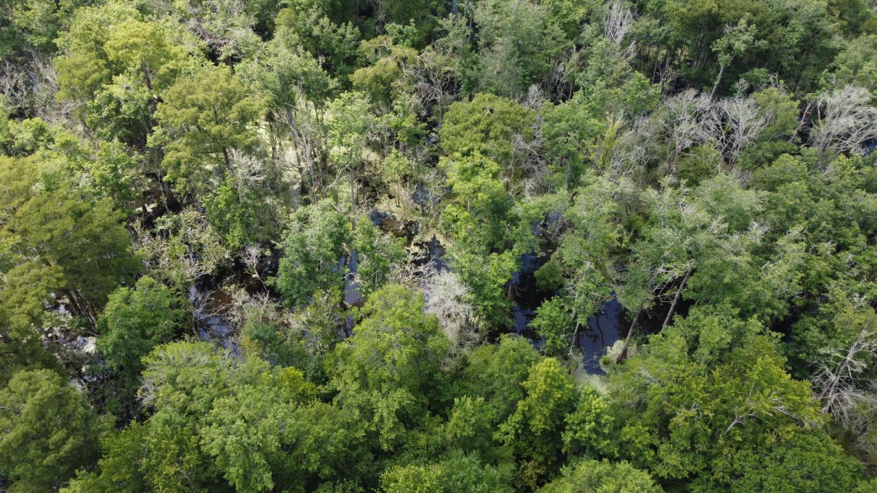 0 Rudd Road Photo 16