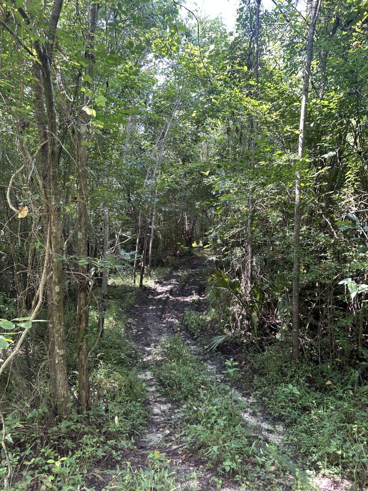 0 Rudd Road Photo 19