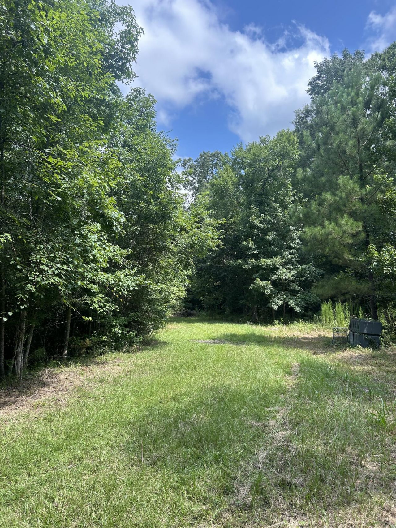 0 Rudd Road Photo 20