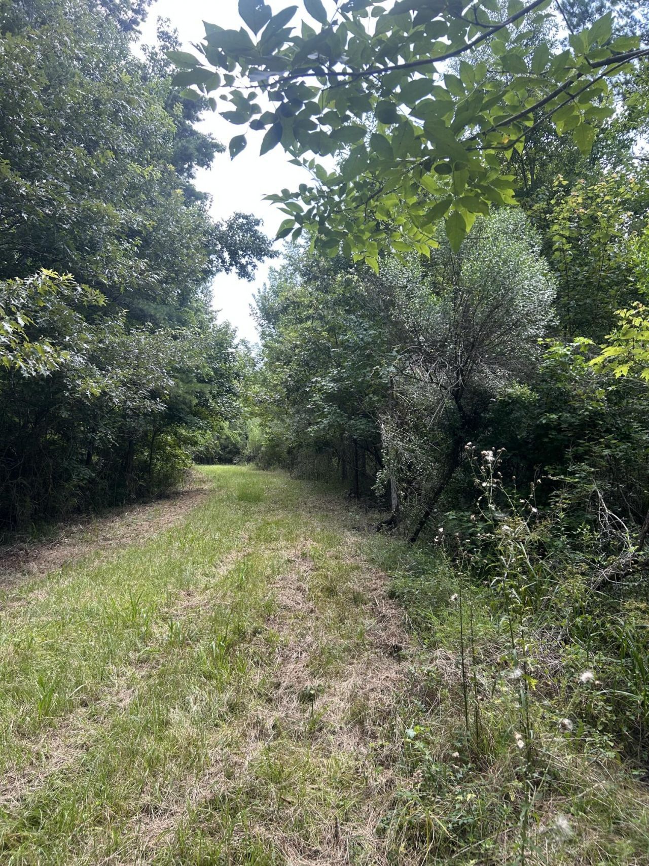 0 Rudd Road Photo 21