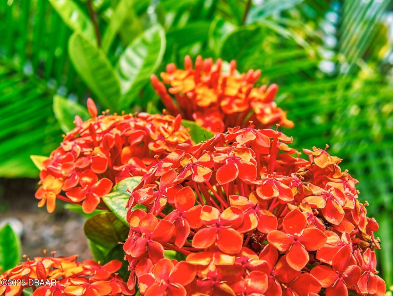 544 S Palmetto Avenue, Daytona Beach, FL 32114 Photo