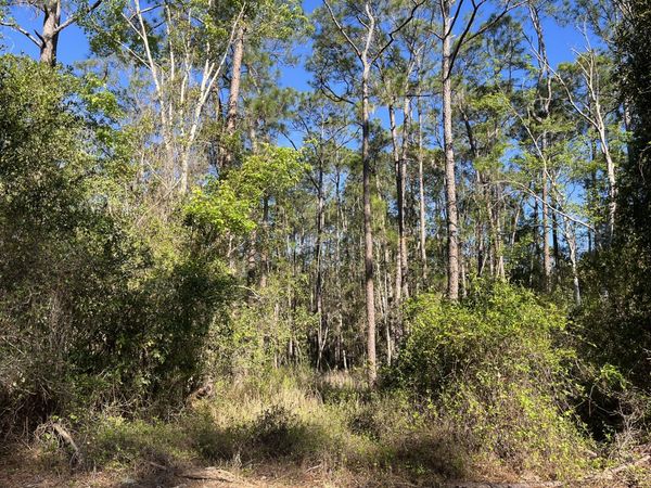 208 SE 3rd Street, Georgetown, FL 32139