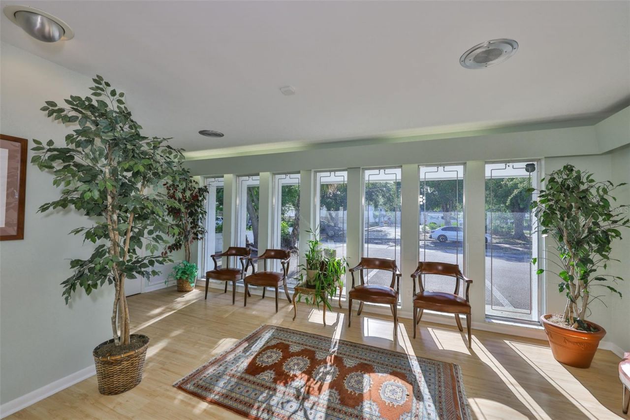 1033 7th Avenue N, Saint Petersburg, FL 33705 Photo