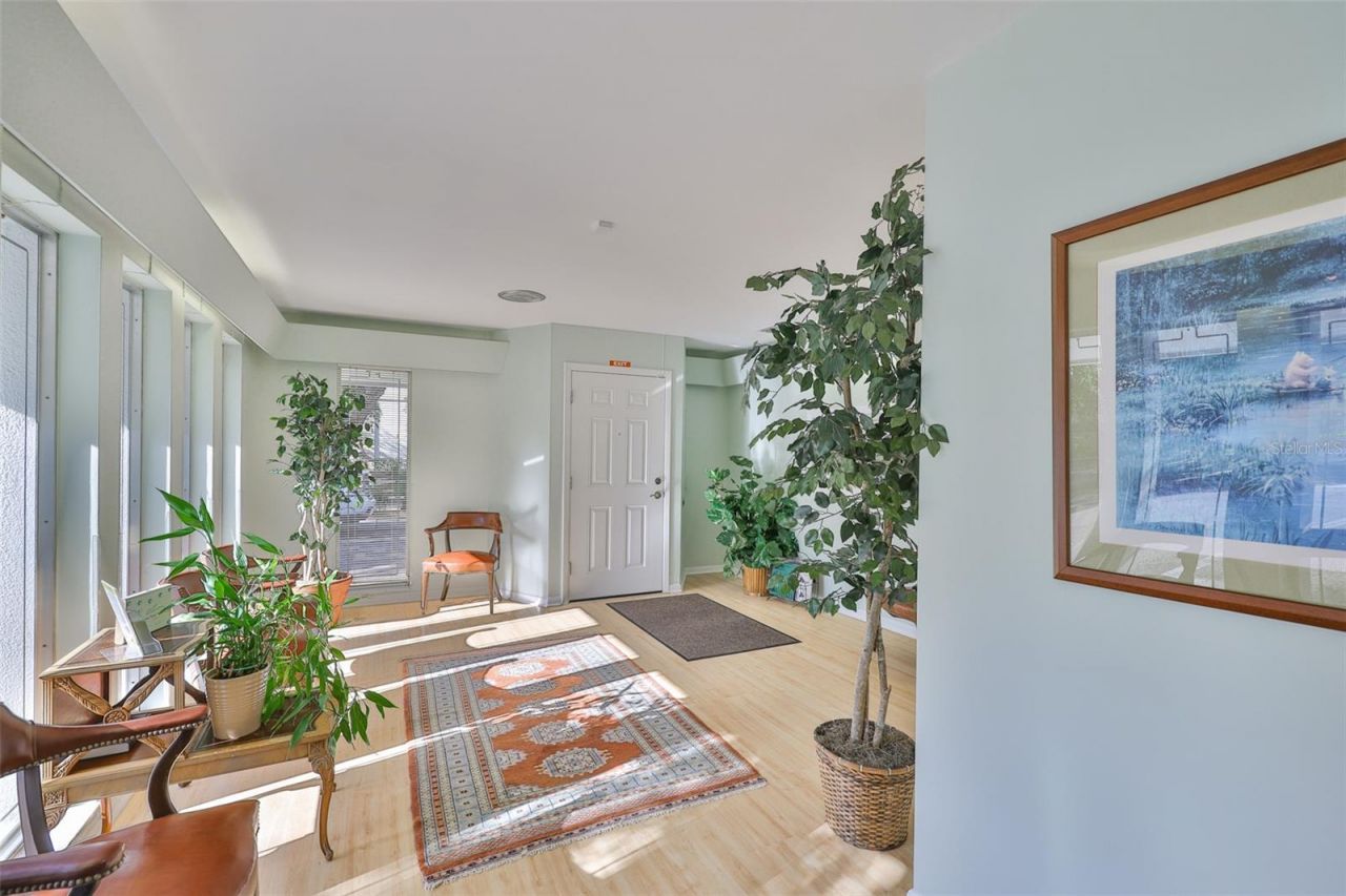 1033 7th Avenue N, Saint Petersburg, FL 33705 Photo