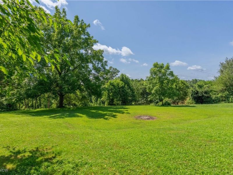 2035 Timber Road, Bergholz, OH 43908 Photo 34