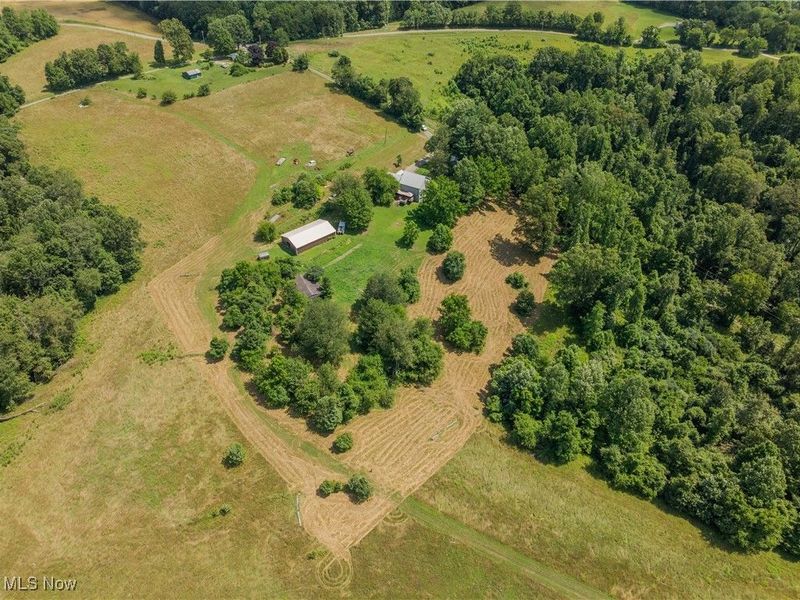 2035 Timber Road, Bergholz, OH 43908 Photo 36