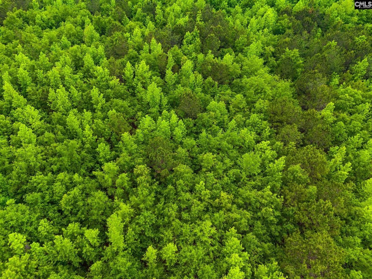 888 Cook Road Photo 10