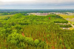 888 Cook Road photo 4