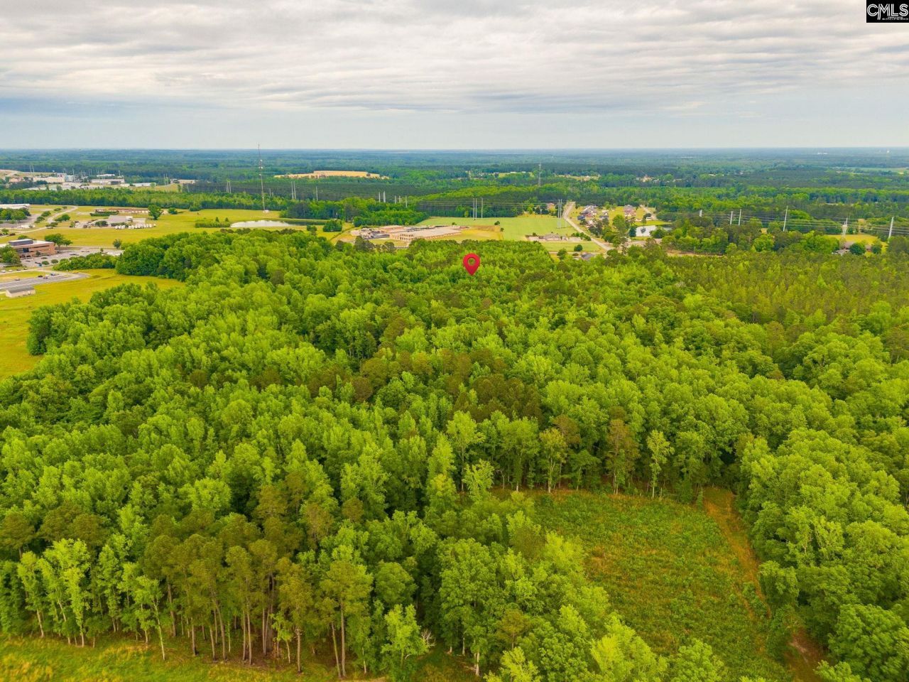 888 Cook Road Photo 6