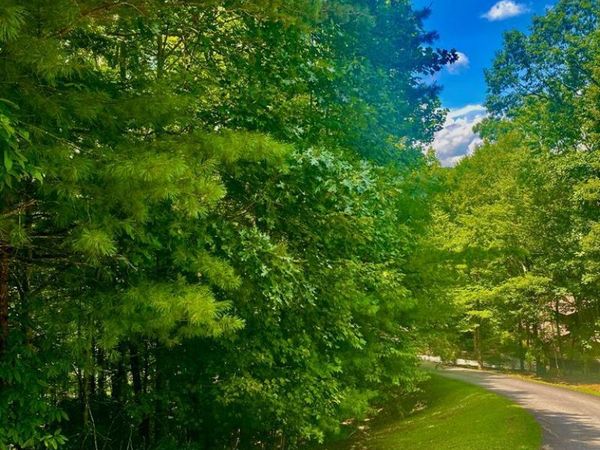 LOT22 Bryant Cove Road, Blairsville, GA 30512