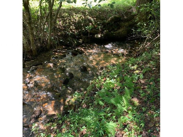 LOT20 Bryant Cove Road, Blairsville, GA 30512