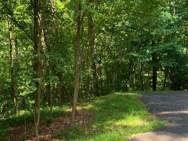 LOT21 Bryant Cove Road, Blairsville, GA 30512