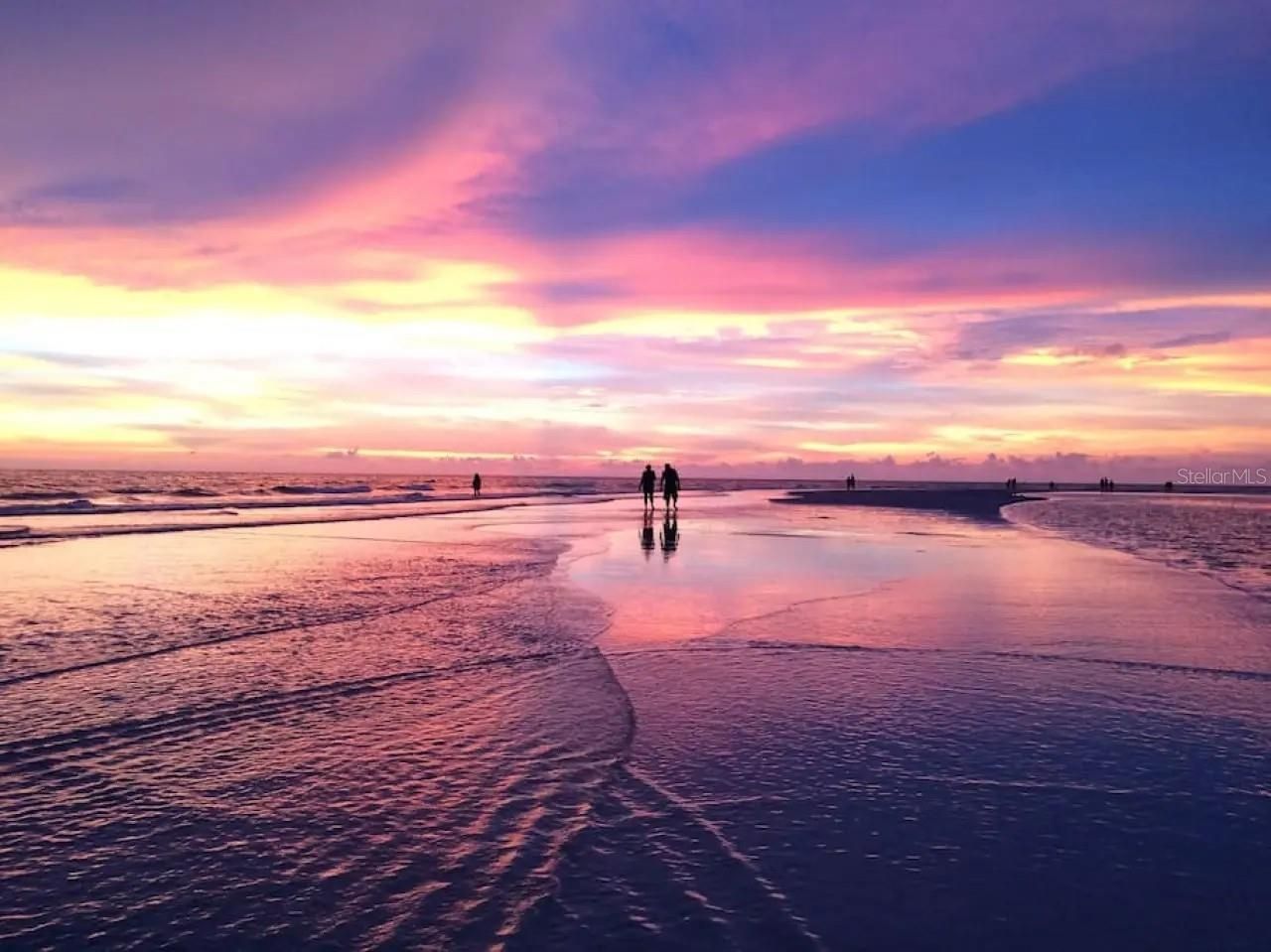 5332 Nutmeg Avenue, Sarasota, FL 34231 Photo