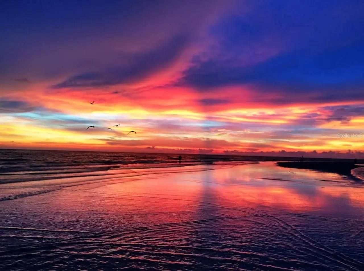 5332 Nutmeg Avenue, Sarasota, FL 34231 Photo